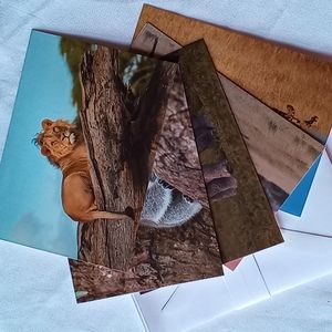 🅓🅞🅝🅐🅣🅔🅓!